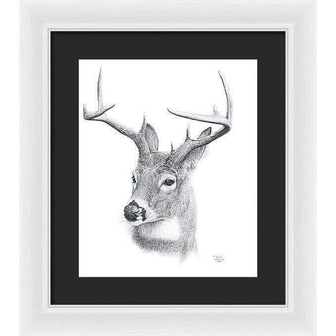 White-tailed Deer Portrait - Framed Print | Artwork by Glen Loates