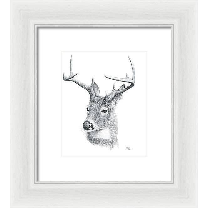 White-tailed Deer Portrait - Framed Print | Artwork by Glen Loates