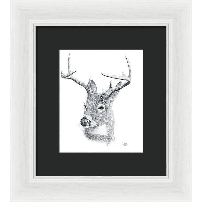 White-tailed Deer Portrait - Framed Print | Artwork by Glen Loates