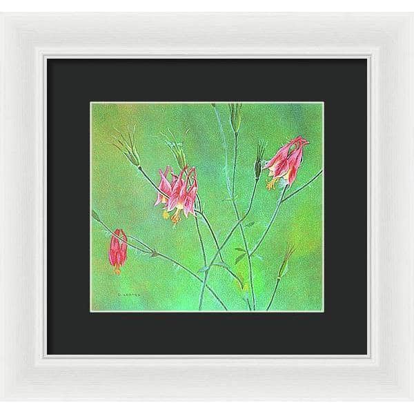 Wild Columbine - Framed Print | Artwork by Glen Loates
