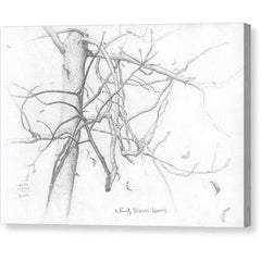 Toile galerie