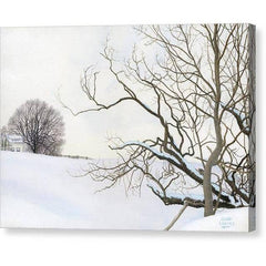 Gallery Canvas