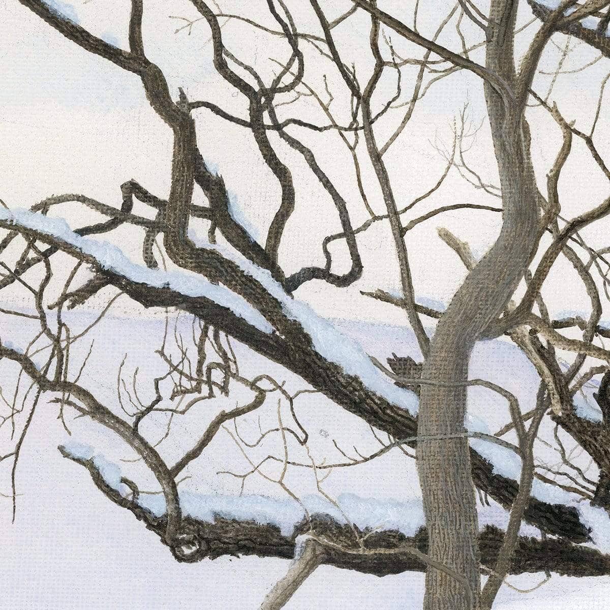 Winter White with Purple Martin House - Canvas Print | Artwork by Glen Loates