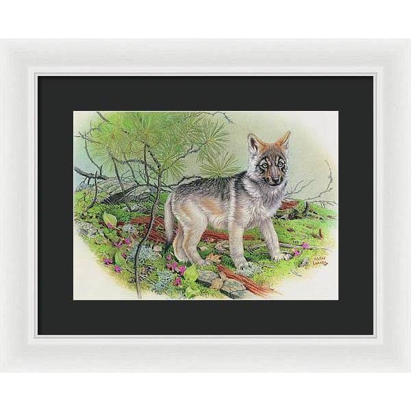 Wolf Pup - Framed Print | Artwork by Glen Loates