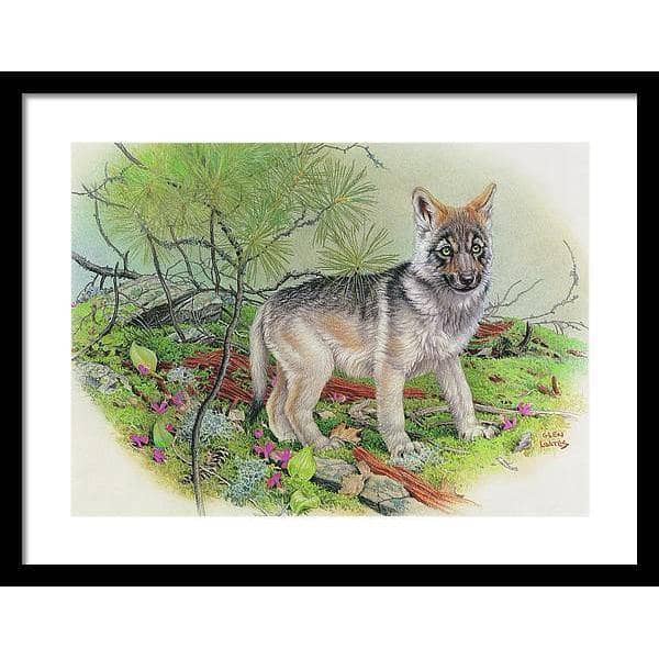 Wolf Pup - Framed Print | Artwork by Glen Loates