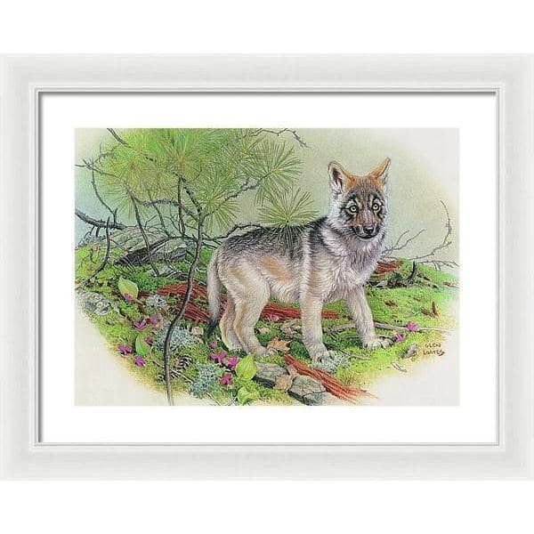 Wolf Pup - Framed Print | Artwork by Glen Loates