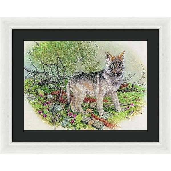 Wolf Pup - Framed Print | Artwork by Glen Loates