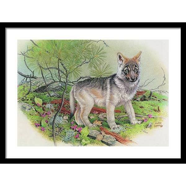 Wolf Pup - Framed Print | Artwork by Glen Loates