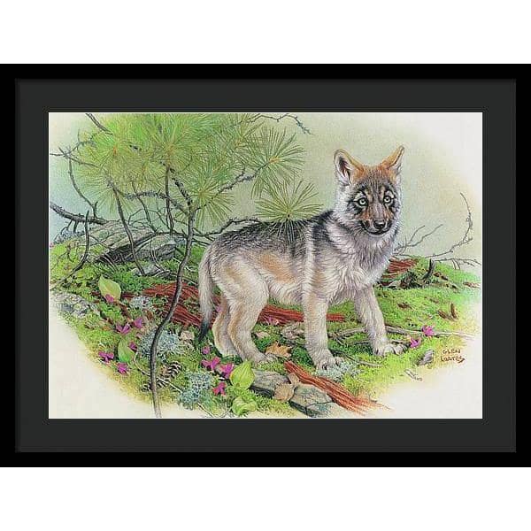 Wolf Pup - Framed Print | Artwork by Glen Loates