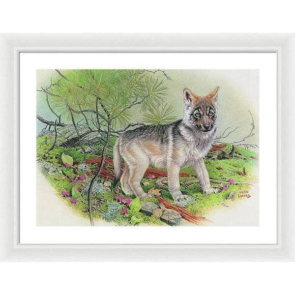 Wolf Pup - Framed Print | Artwork by Glen Loates