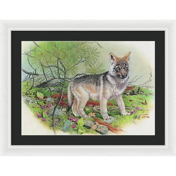 Wolf Pup - Framed Print | Artwork by Glen Loates