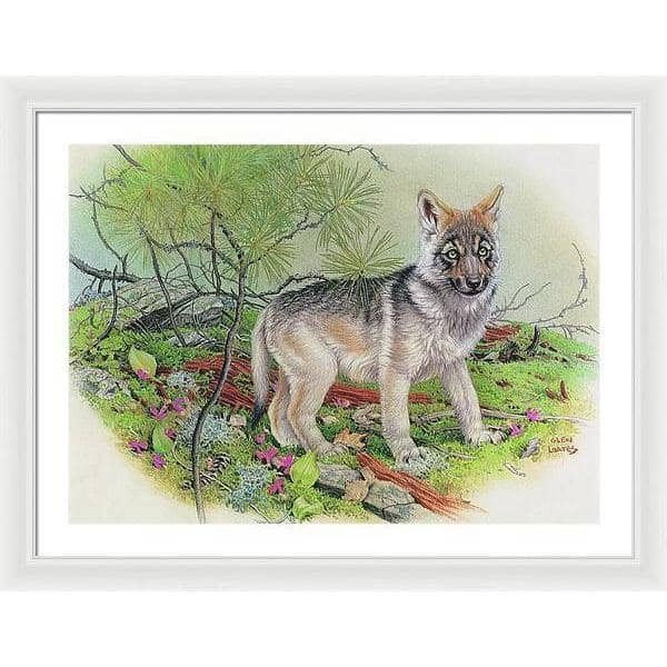 Wolf Pup - Framed Print | Artwork by Glen Loates