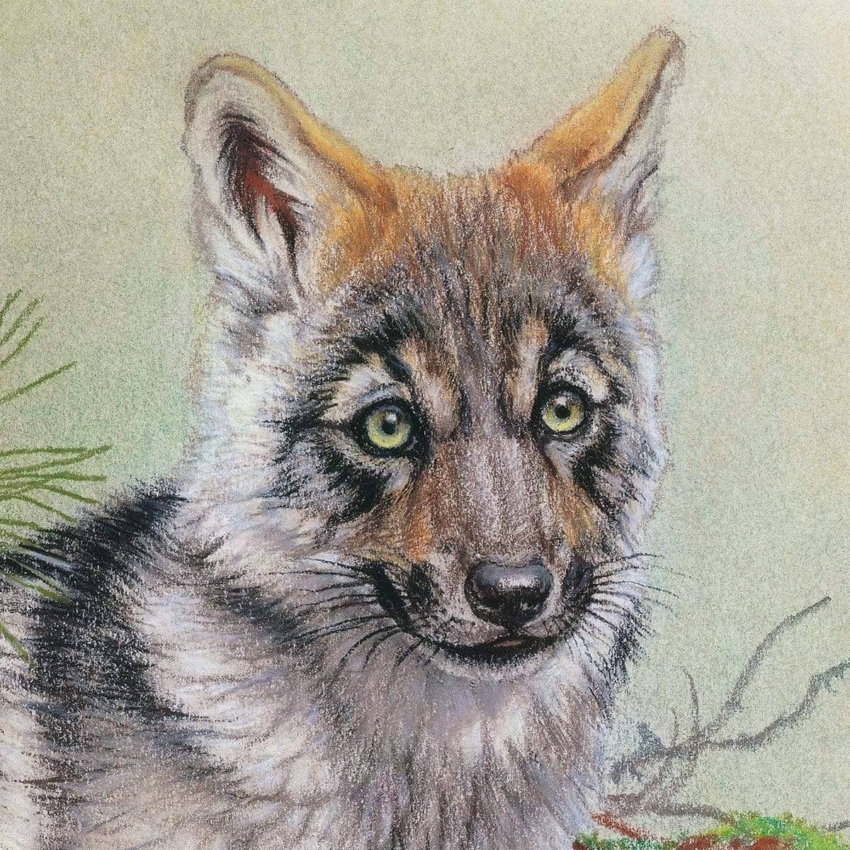 Wolf Pup - Framed Print | Artwork by Glen Loates