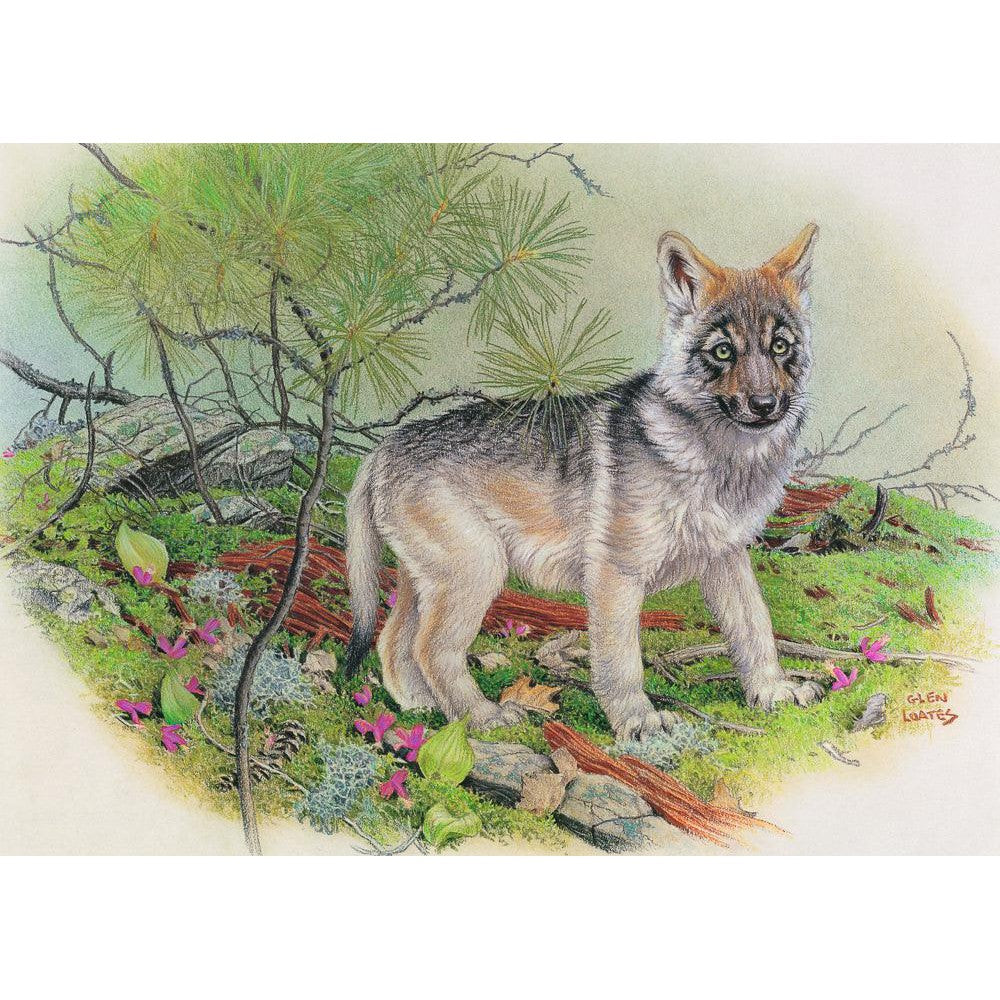 Wolf Pup - Framed Print | Artwork by Glen Loates