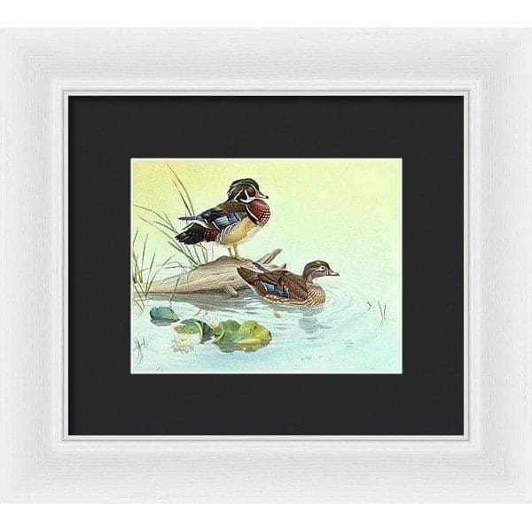 Wood Ducks - Framed Print | Artwork by Glen Loates