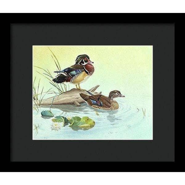 Wood Ducks - Framed Print | Artwork by Glen Loates