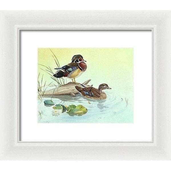 Wood Ducks - Framed Print | Artwork by Glen Loates