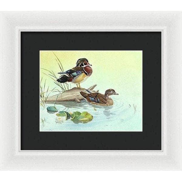Wood Ducks - Framed Print | Artwork by Glen Loates
