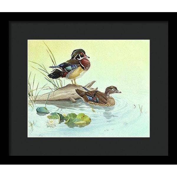 Wood Ducks - Framed Print | Artwork by Glen Loates