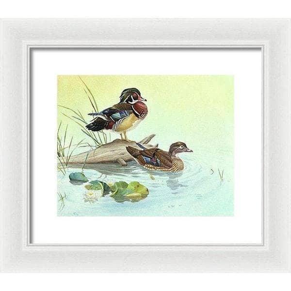 Wood Ducks - Framed Print | Artwork by Glen Loates