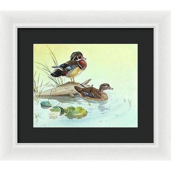 Wood Ducks - Framed Print | Artwork by Glen Loates