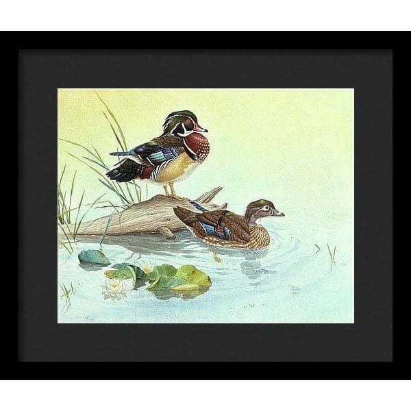 Wood Ducks - Framed Print | Artwork by Glen Loates