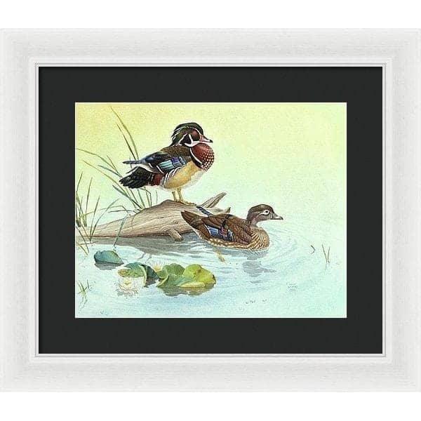 Wood Ducks - Framed Print | Artwork by Glen Loates