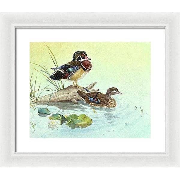 Wood Ducks - Framed Print | Artwork by Glen Loates