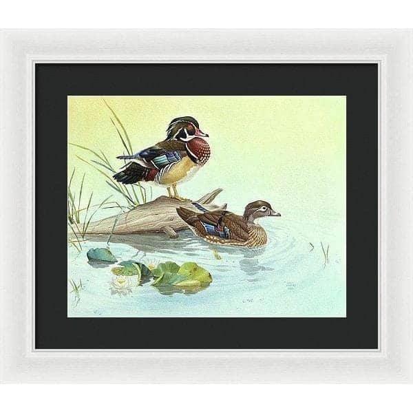 Wood Ducks - Framed Print | Artwork by Glen Loates