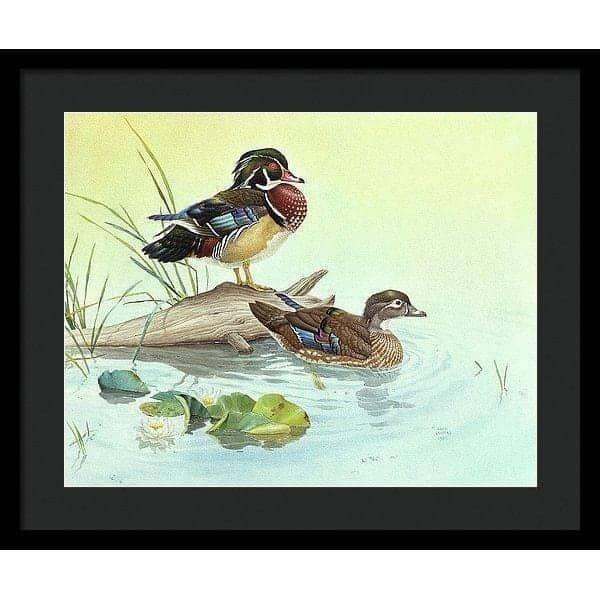 Wood Ducks - Framed Print | Artwork by Glen Loates