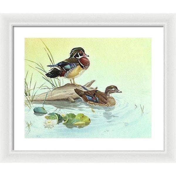 Wood Ducks - Framed Print | Artwork by Glen Loates