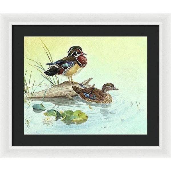 Wood Ducks - Framed Print | Artwork by Glen Loates