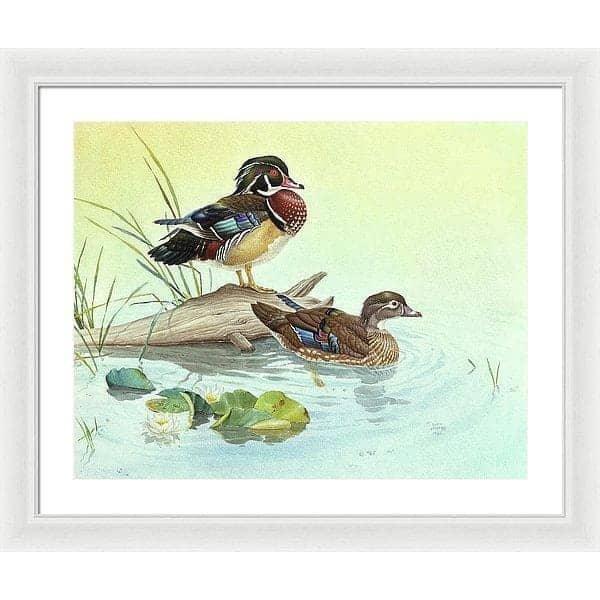 Wood Ducks - Framed Print | Artwork by Glen Loates