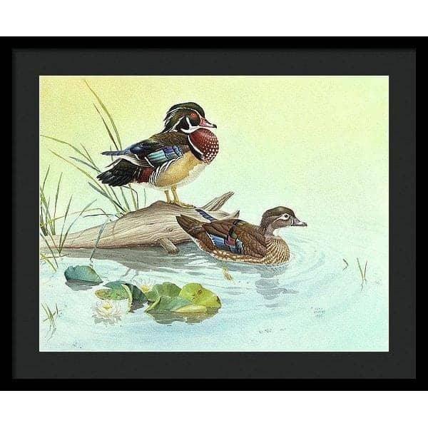 Wood Ducks - Framed Print | Artwork by Glen Loates