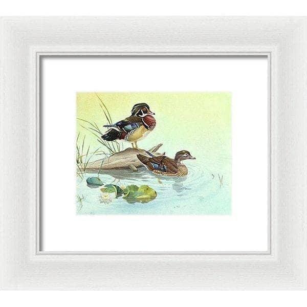 Wood Ducks - Framed Print | Artwork by Glen Loates