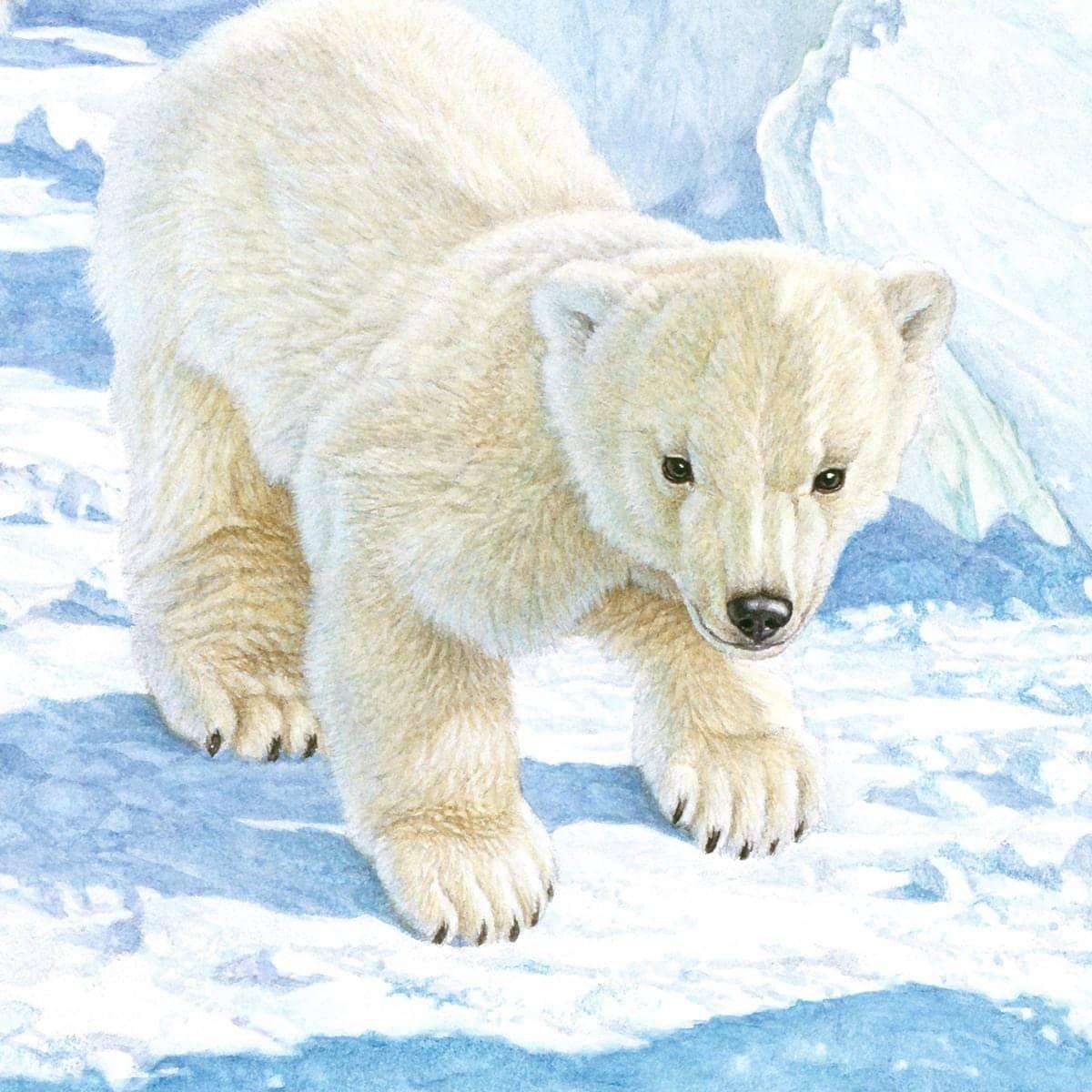 Polar Bear Cubs - Art Print | Artwork by Glen Loates