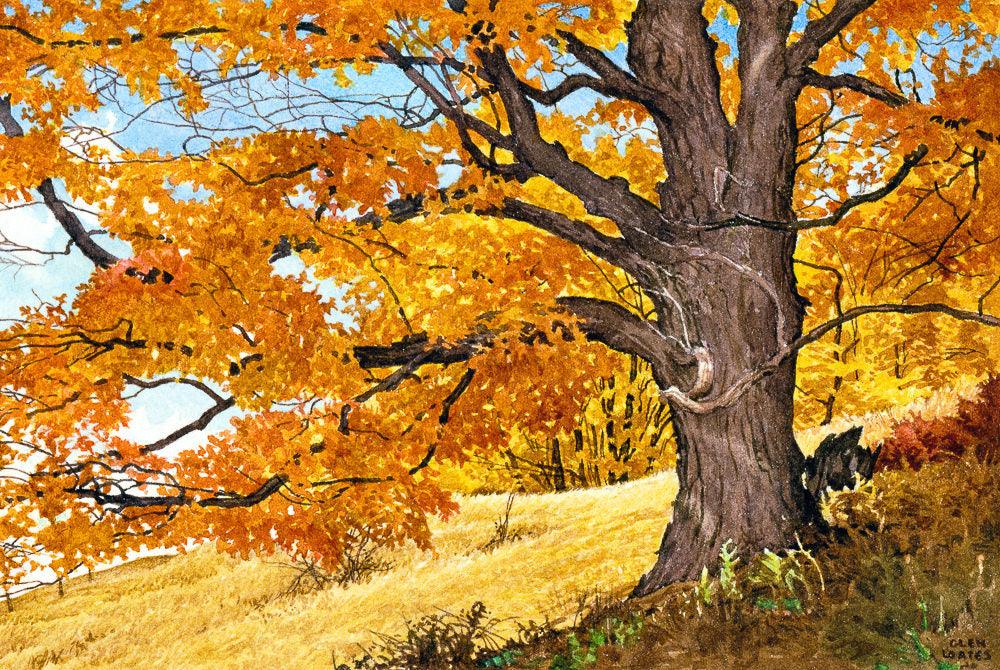 Autumn Day - Framed Print | Artwork by Glen Loates