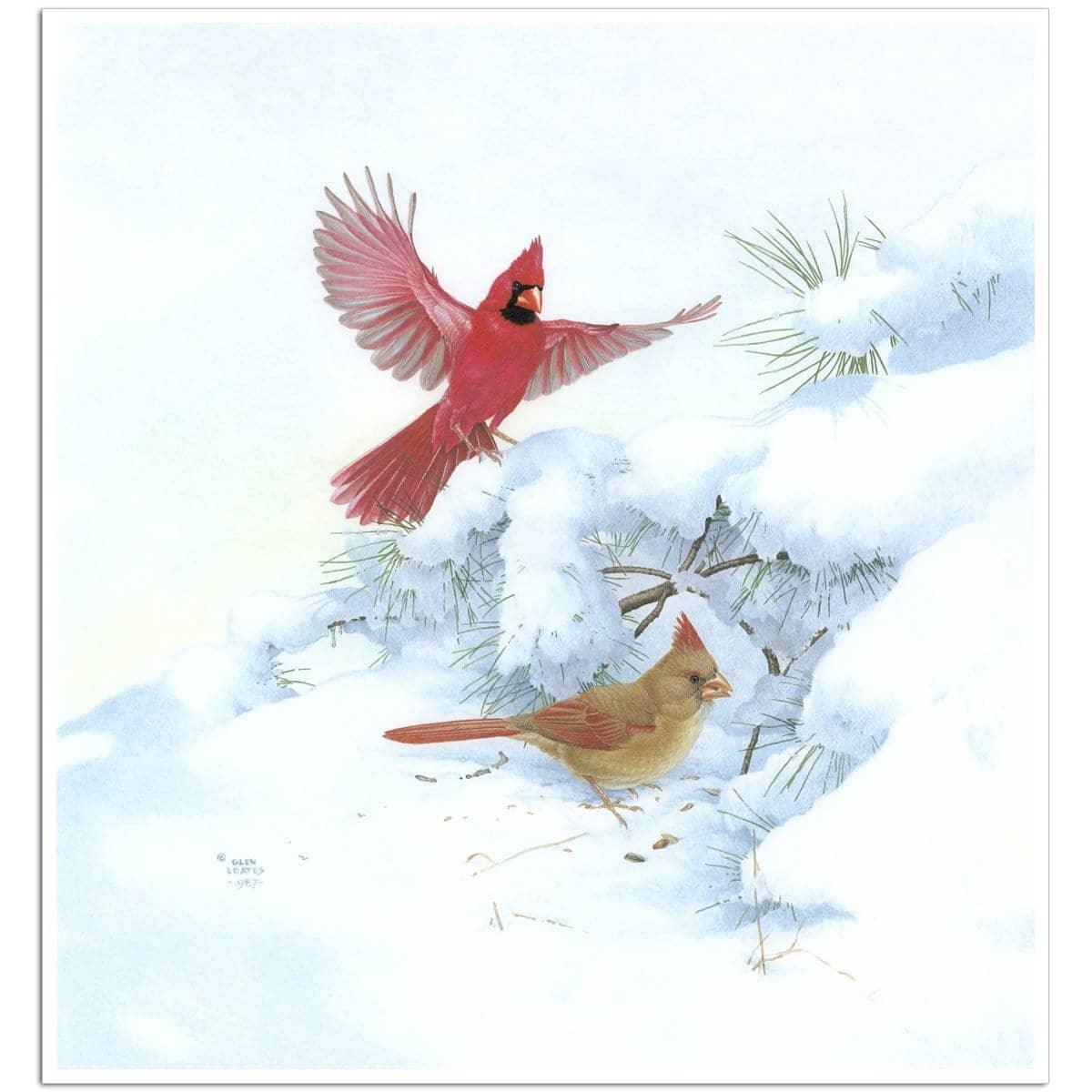 Cardinals in Snow - Art Print | Artwork by Glen Loates