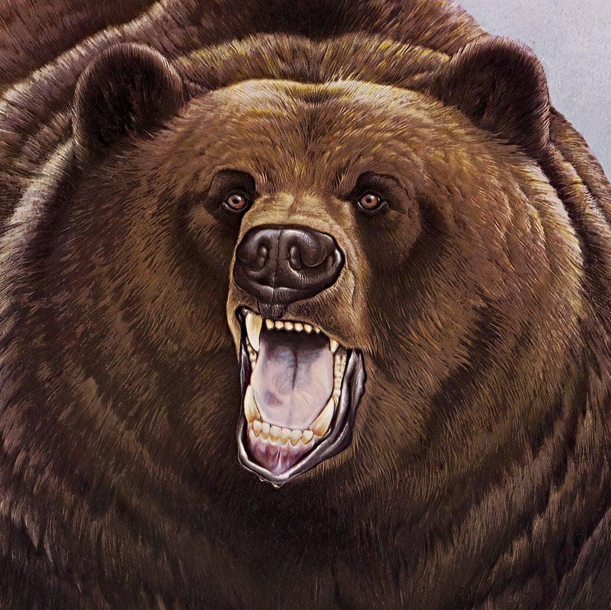 Grizzly Bear - Canvas Print | Artwork by Glen Loates
