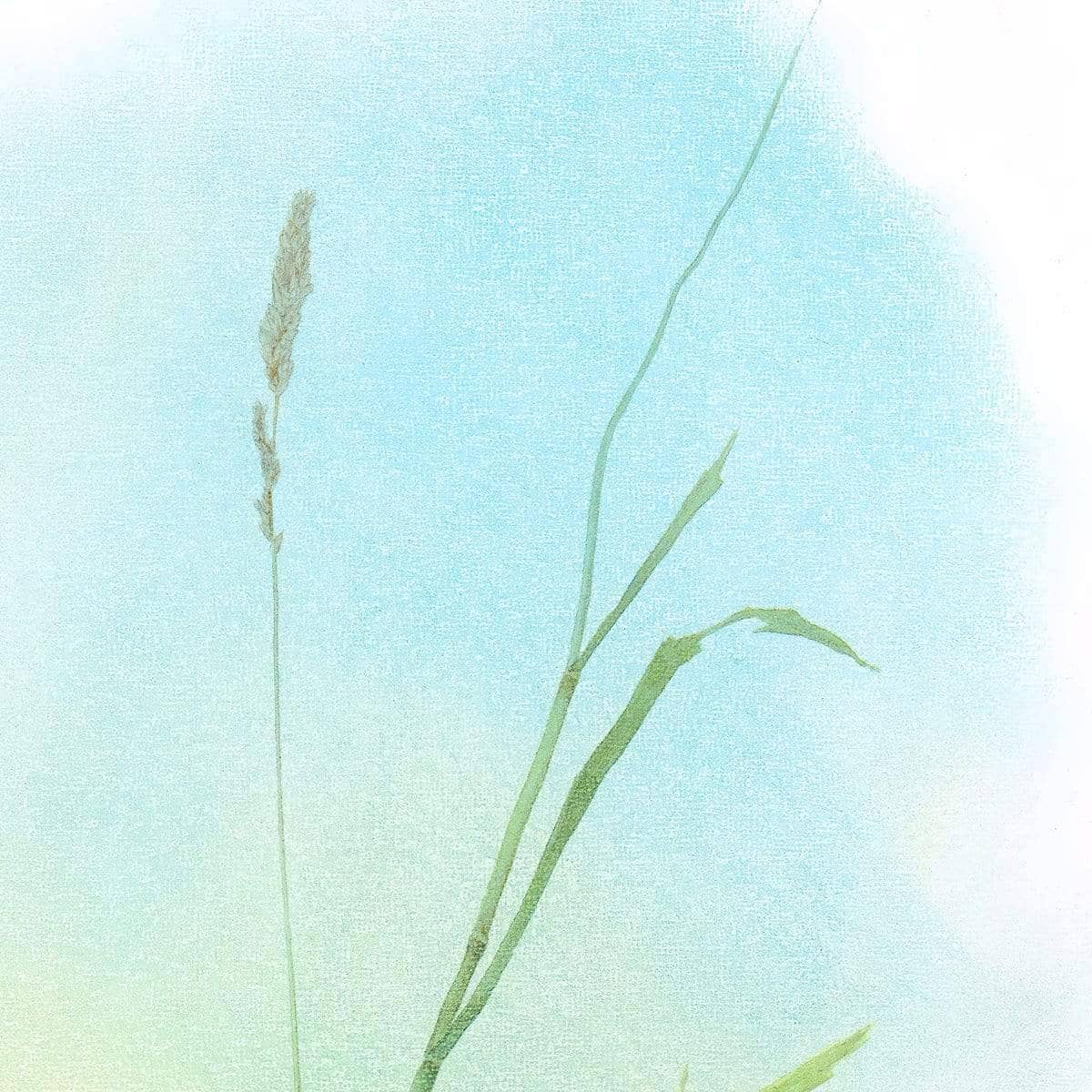 Meadow Lark - Framed Print | Artwork by Glen Loates
