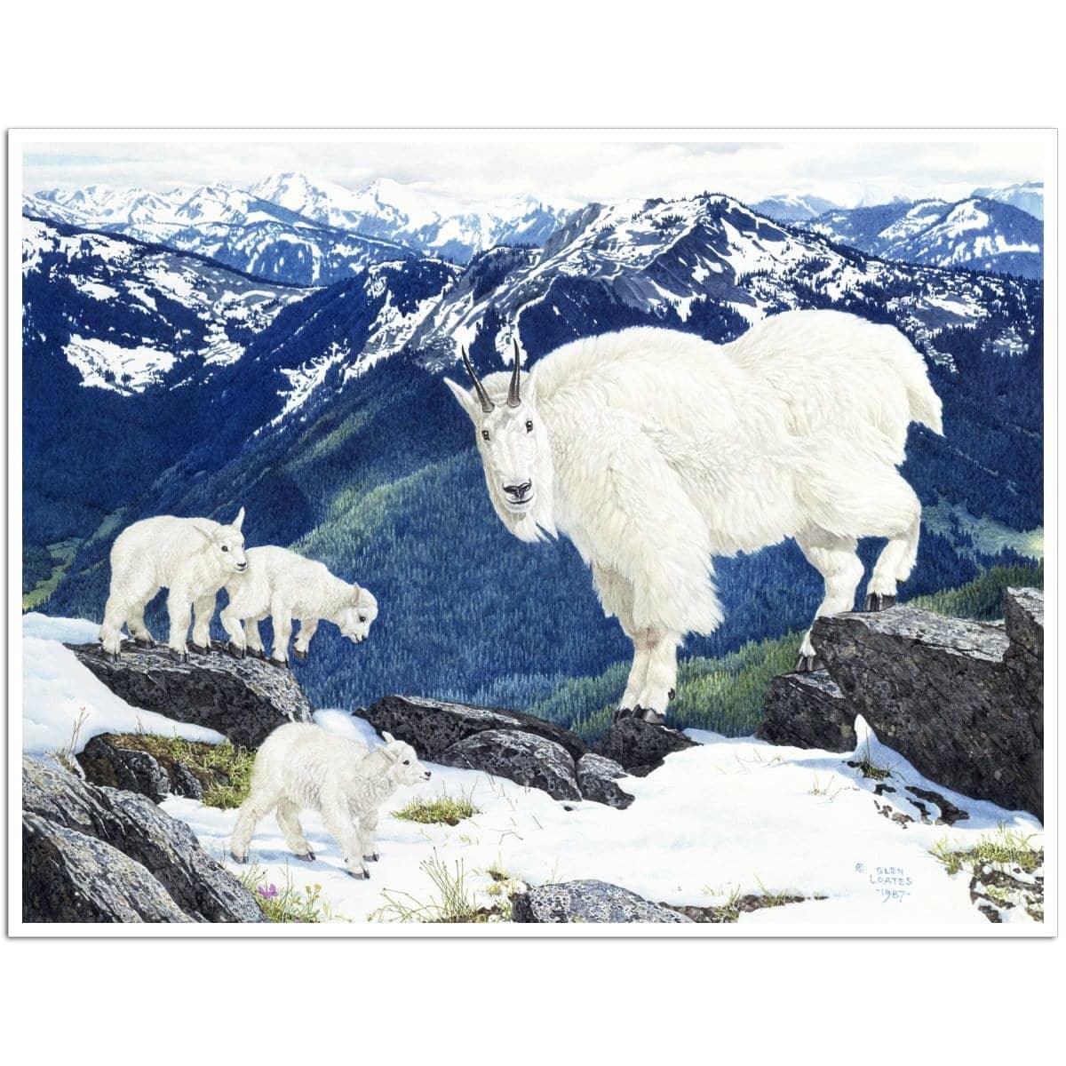 Mountain Goats and Kids - Art Print | Artwork by Glen Loates