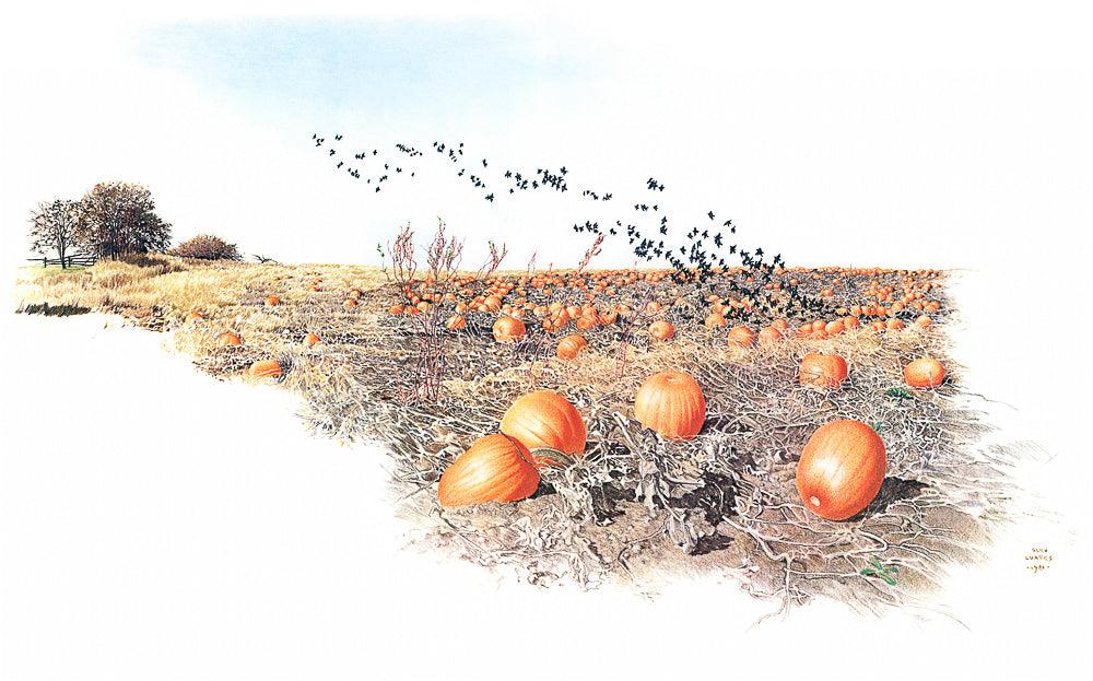 Pumpkin Patch - Canvas Print | Artwork by Glen Loates