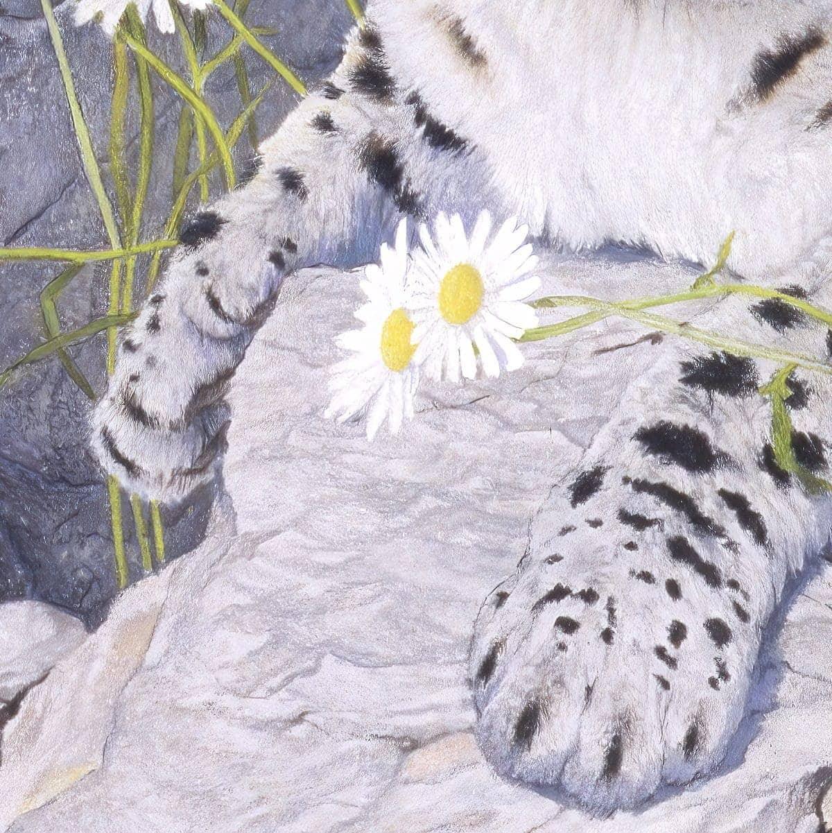 Snow Leopard Cub - Tote Bag | Artwork by Glen Loates
