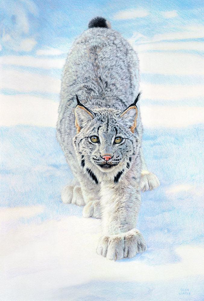 Stalking Lynx - Canvas Print | Artwork by Glen Loates