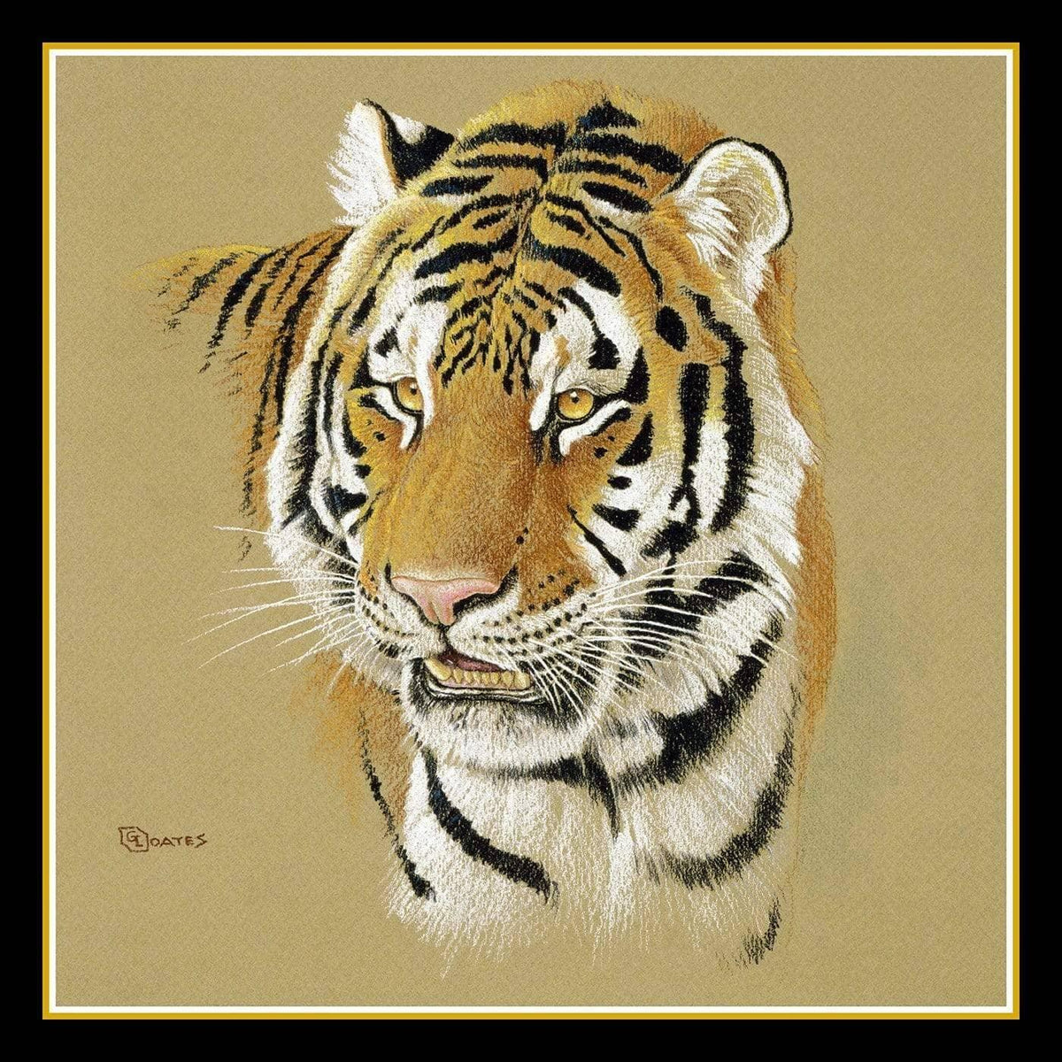 Tigresse - Silk Square Scarf | Artwork by Glen Loates