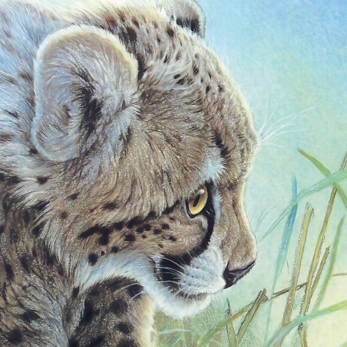 Young Cheetah with Fireflies - Art Print | Artwork by Glen Loates