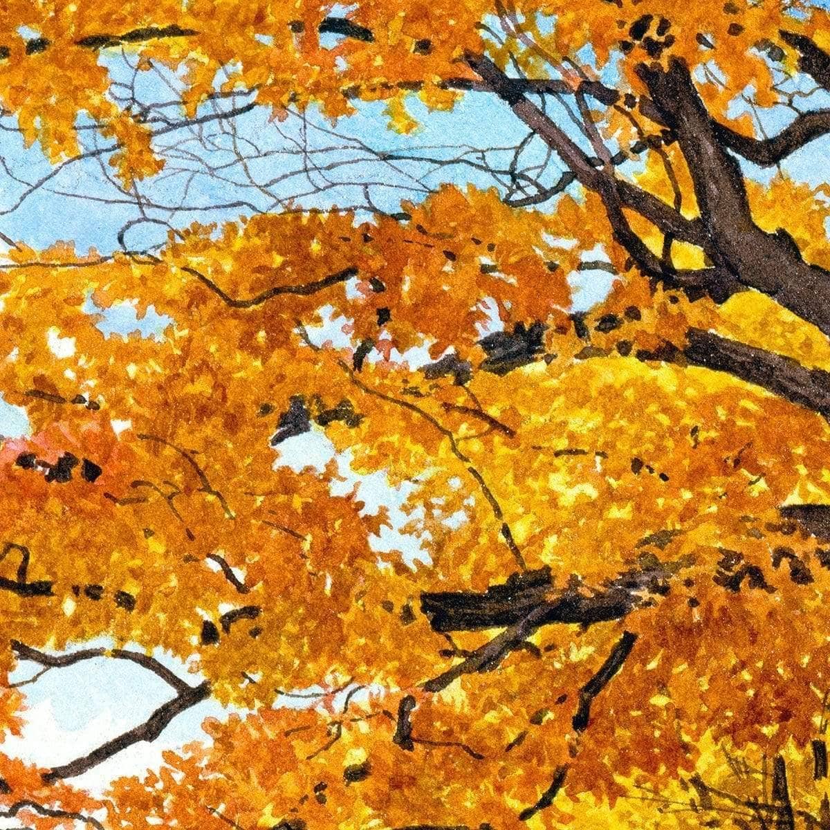 Autumn Day - Canvas Print | Artwork by Glen Loates