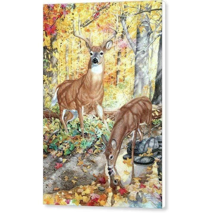 Autumn Deer - Canvas Print | Artwork by Glen Loates