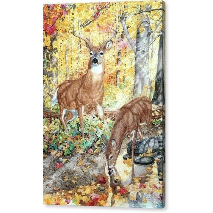 Autumn Deer - Canvas Print | Artwork by Glen Loates