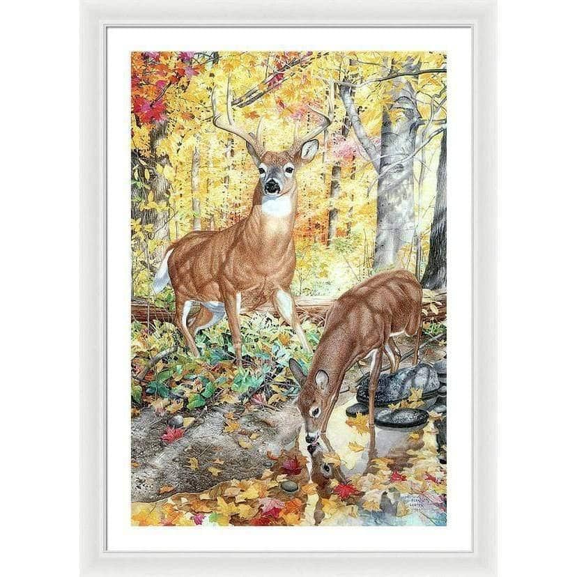 Autumn Deer - Framed Print | Artwork by Glen Loates